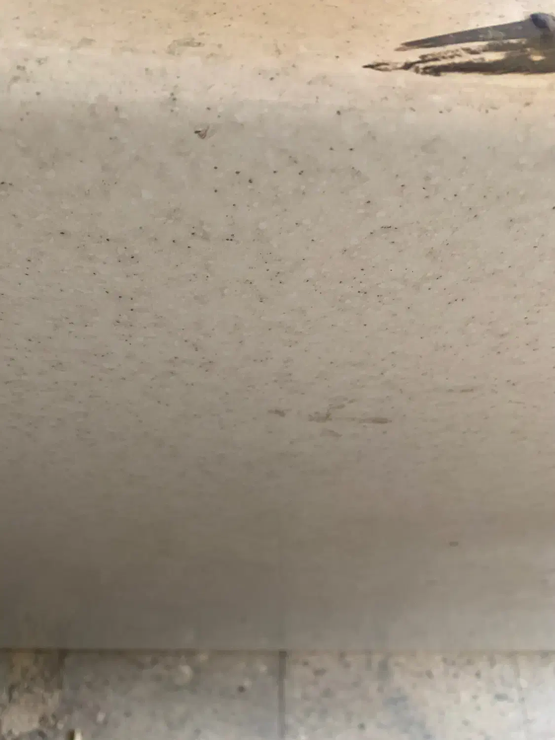 درب چوبی|مصالح و تجهیزات ساختمان|پردیس, فاز ۴|دیوار