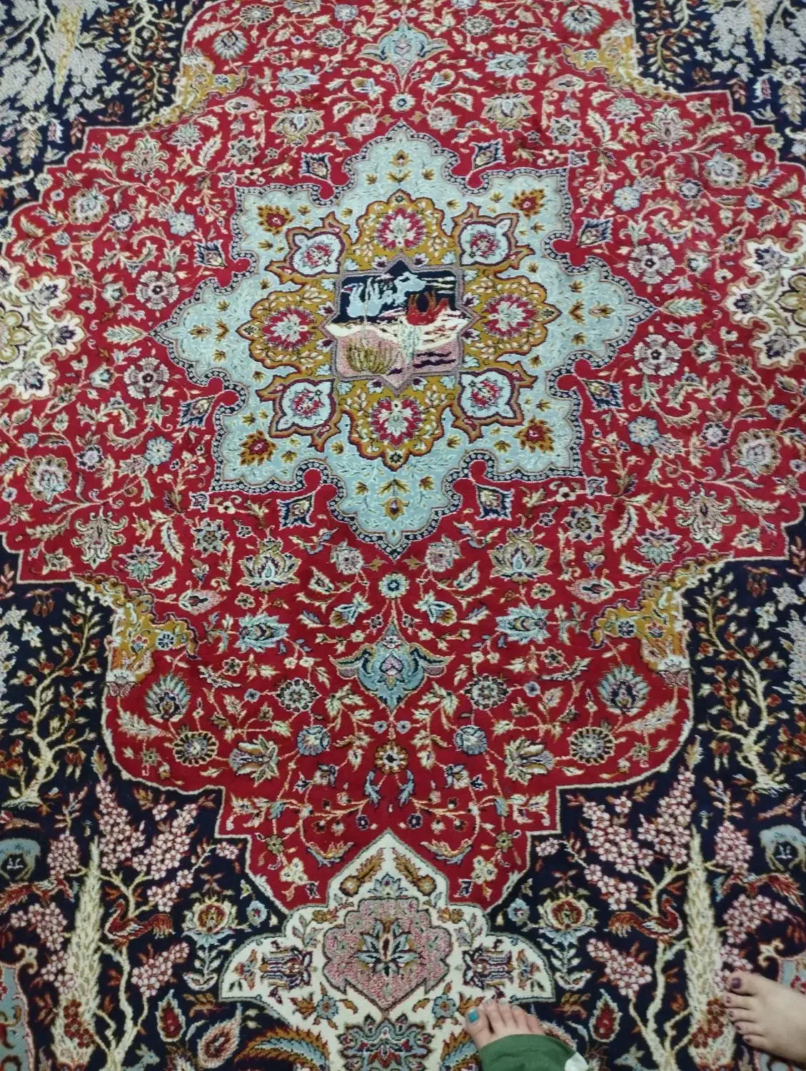 فرش ۱۲ متری|فرش|گلستان (تهران), |دیوار