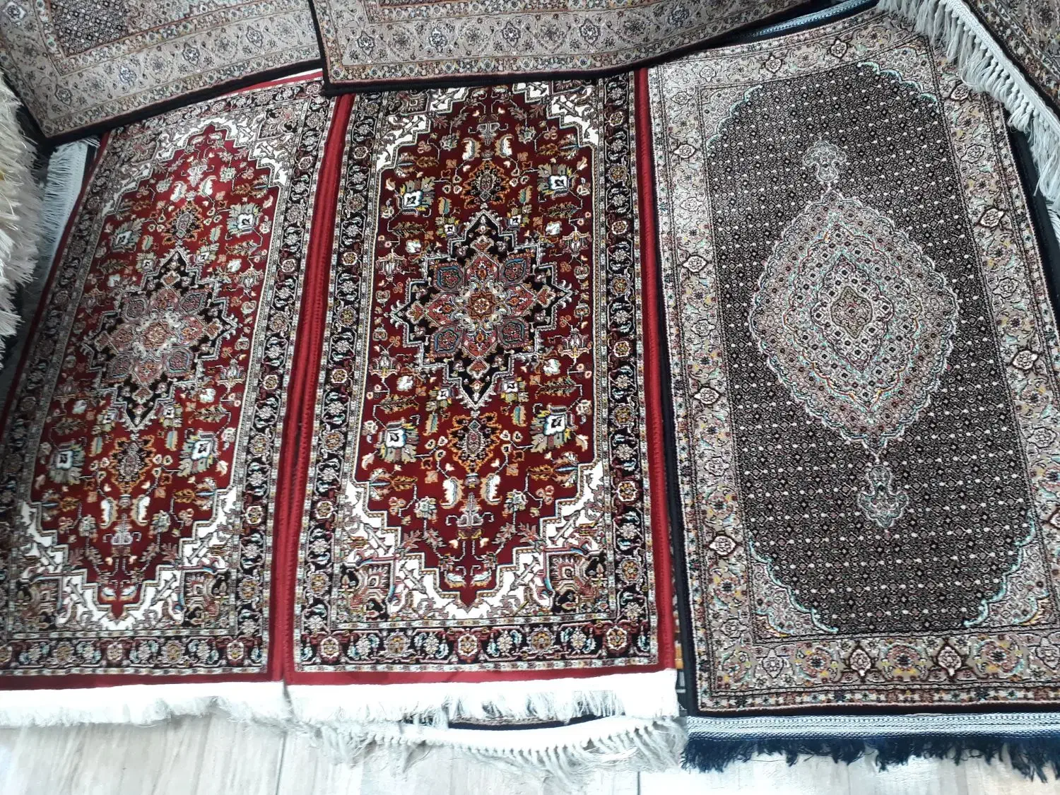 پادری سایز بزرگ یک متر×۵۰ مرینوس تارا ۱۰۰۰شانه|پادری|تبریز, |دیوار