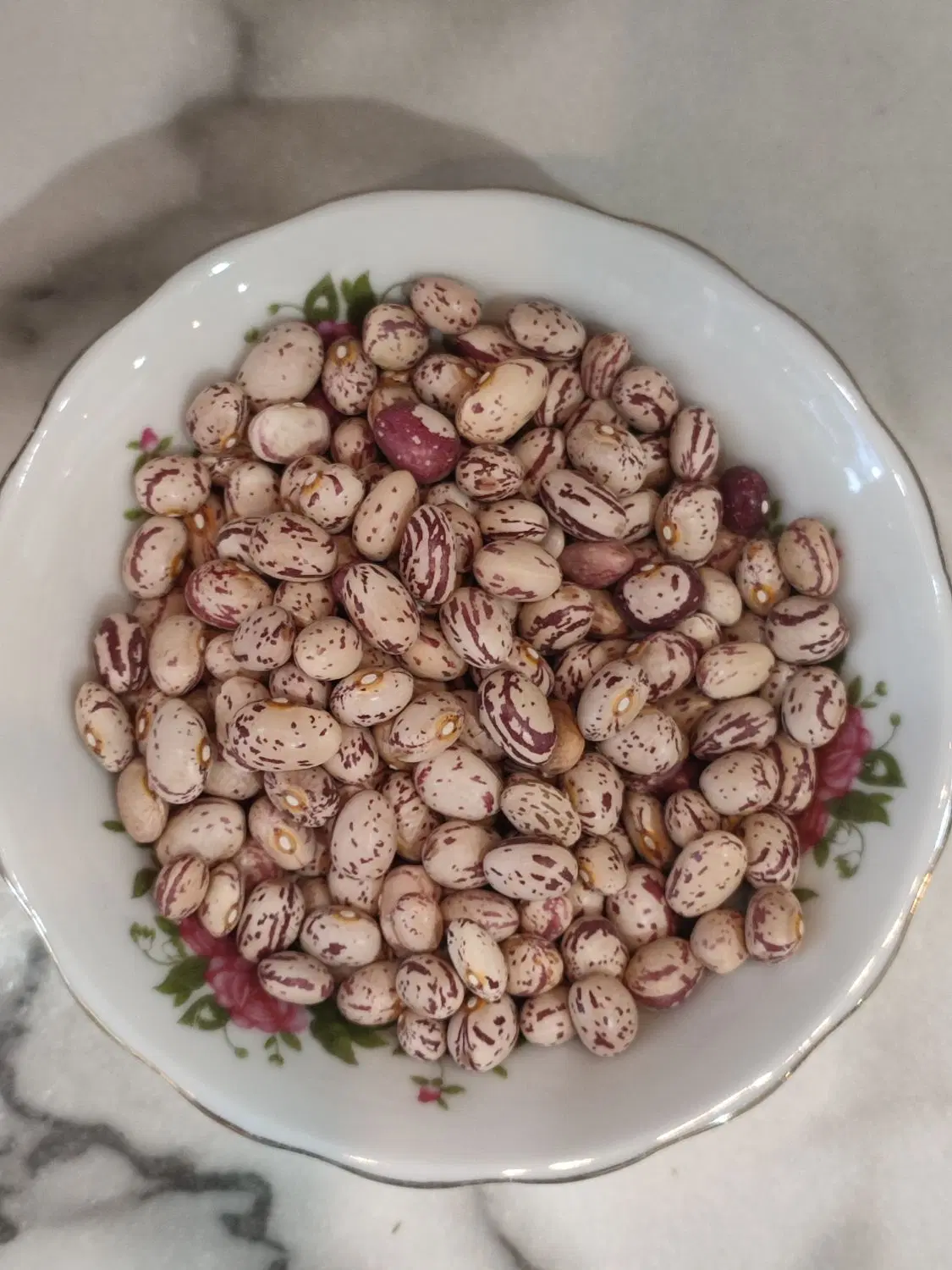 لوبیا|خوردنی و آشامیدنی|خوانسار, |دیوار