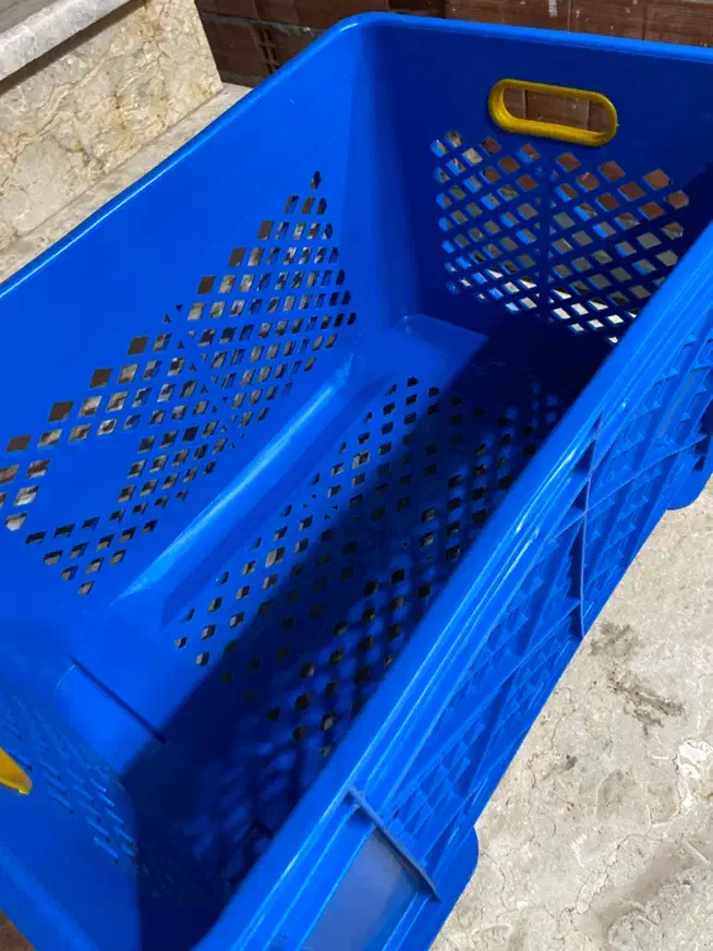 سبد حمل مرغ کشتارگاهی|فروشگاه و مغازه|قائمشهر, |دیوار