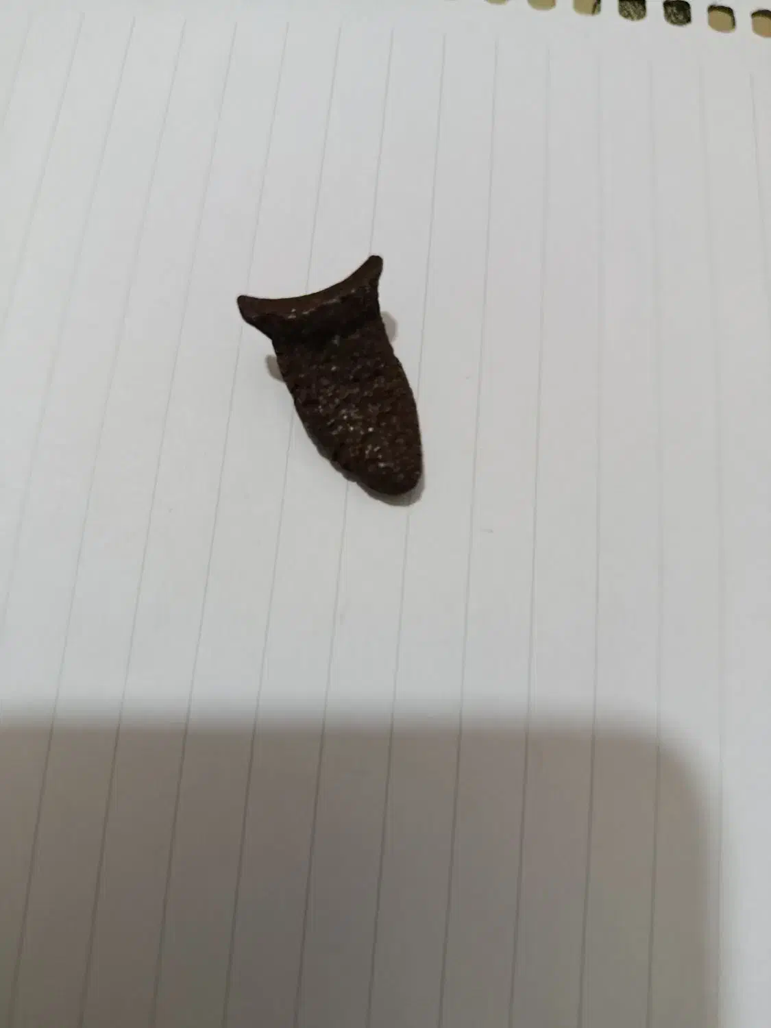 فروشی قیمت توافقی|کلکسیون اشیاء عتیقه|نی‌ریز, |دیوار