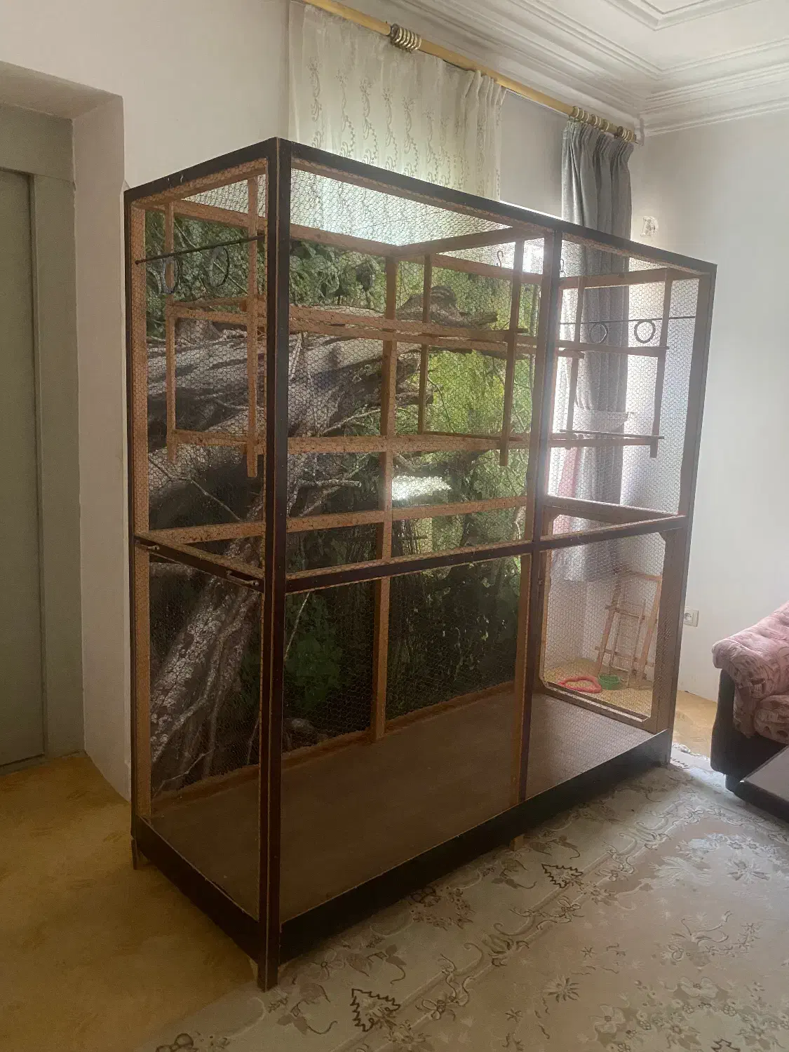 قفس پرندگان|لوازم جانبی حیوانات|لاهیجان, رجایی|دیوار