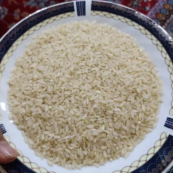 خورده کامفیروزی|خوردنی و آشامیدنی|شیراز, مسلم|دیوار