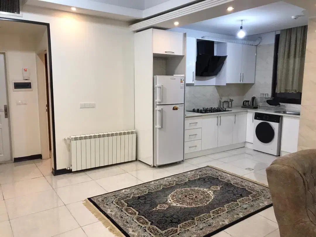 انقلاب شیک و فوق العاده تمیز وشیک و‌لوکس|اجارهٔ کوتاه‌مدت آپارتمان و سوئیت|تهران, فلسطین (میدان انقلاب)|دیوار