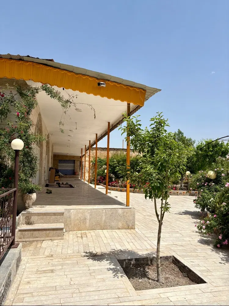 تصویر 11