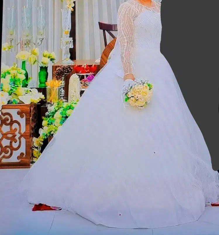 لباس عروس نو|لباس|آمل, |دیوار