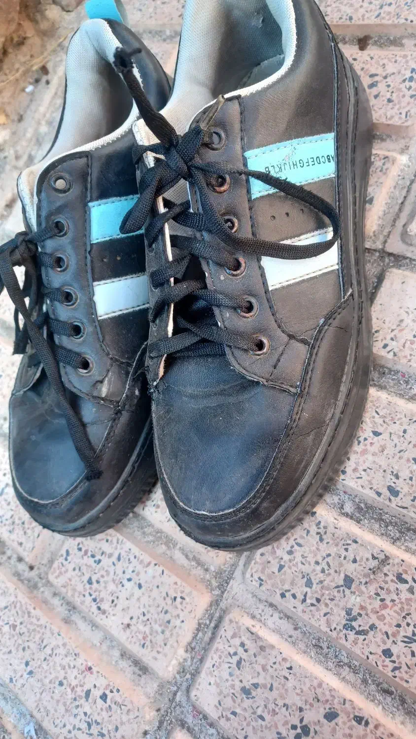 کفش|کیف، کفش، کمربند|مرند, |دیوار