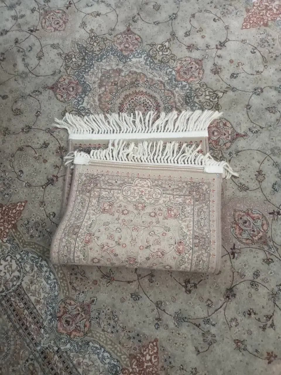 پادری|پادری|تهران, ابوذر|دیوار