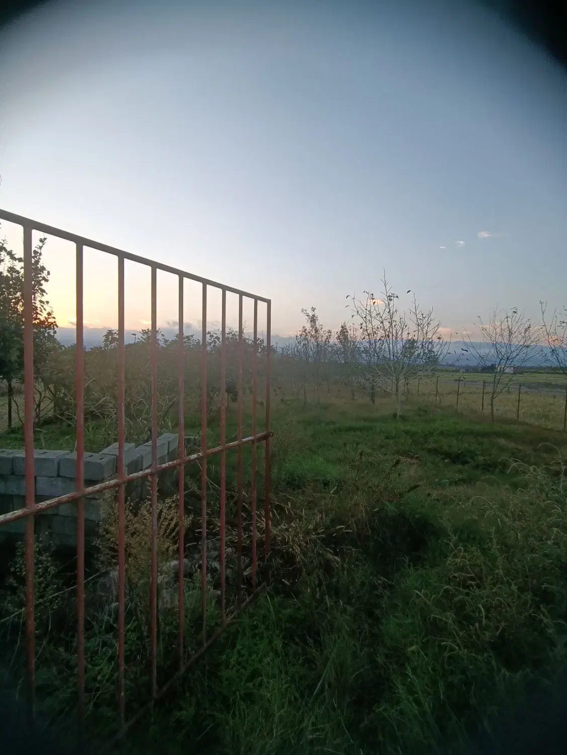 1000متر زمین مسکونی/ساحل کلفارود|فروش زمین و ملک کلنگی|تالش, طولارود|دیوار