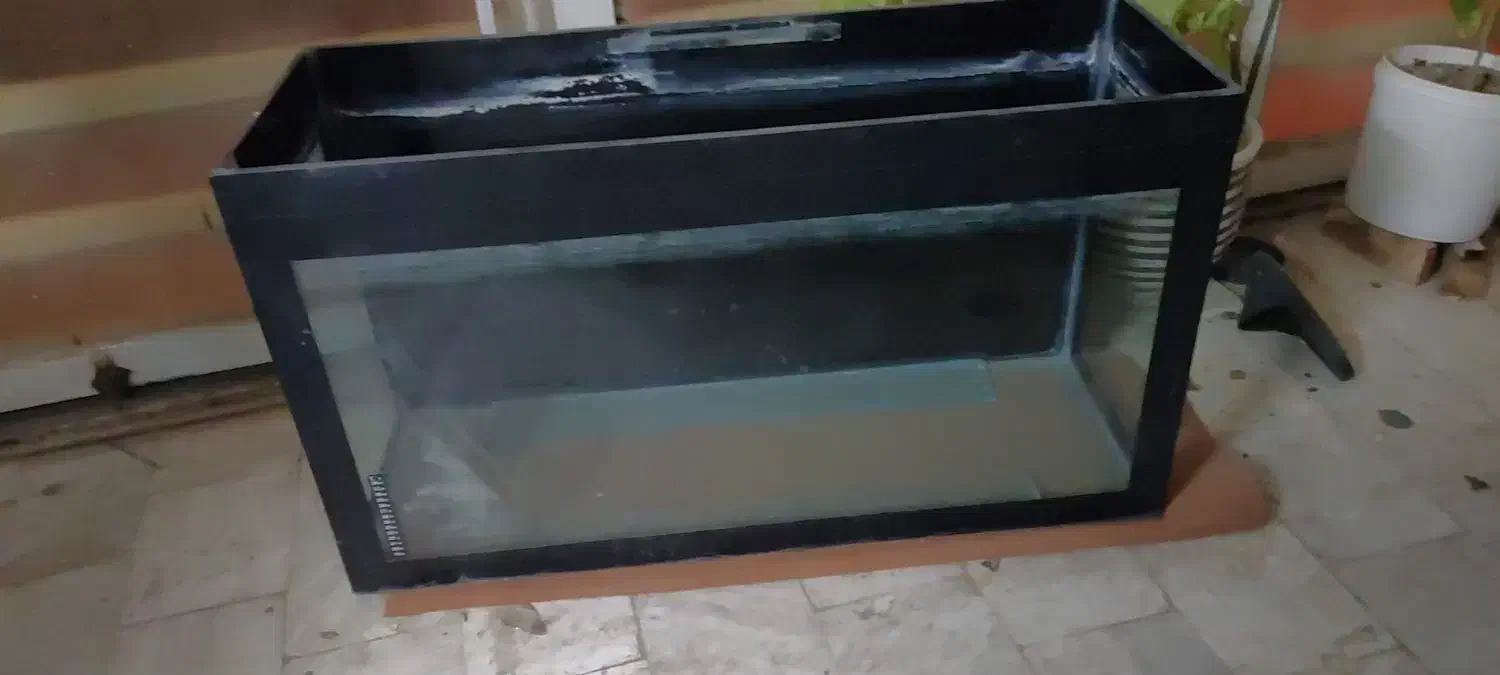 آکواریوم شیشه ((10میل))|ماهی|قم, باغ کرباسی|دیوار