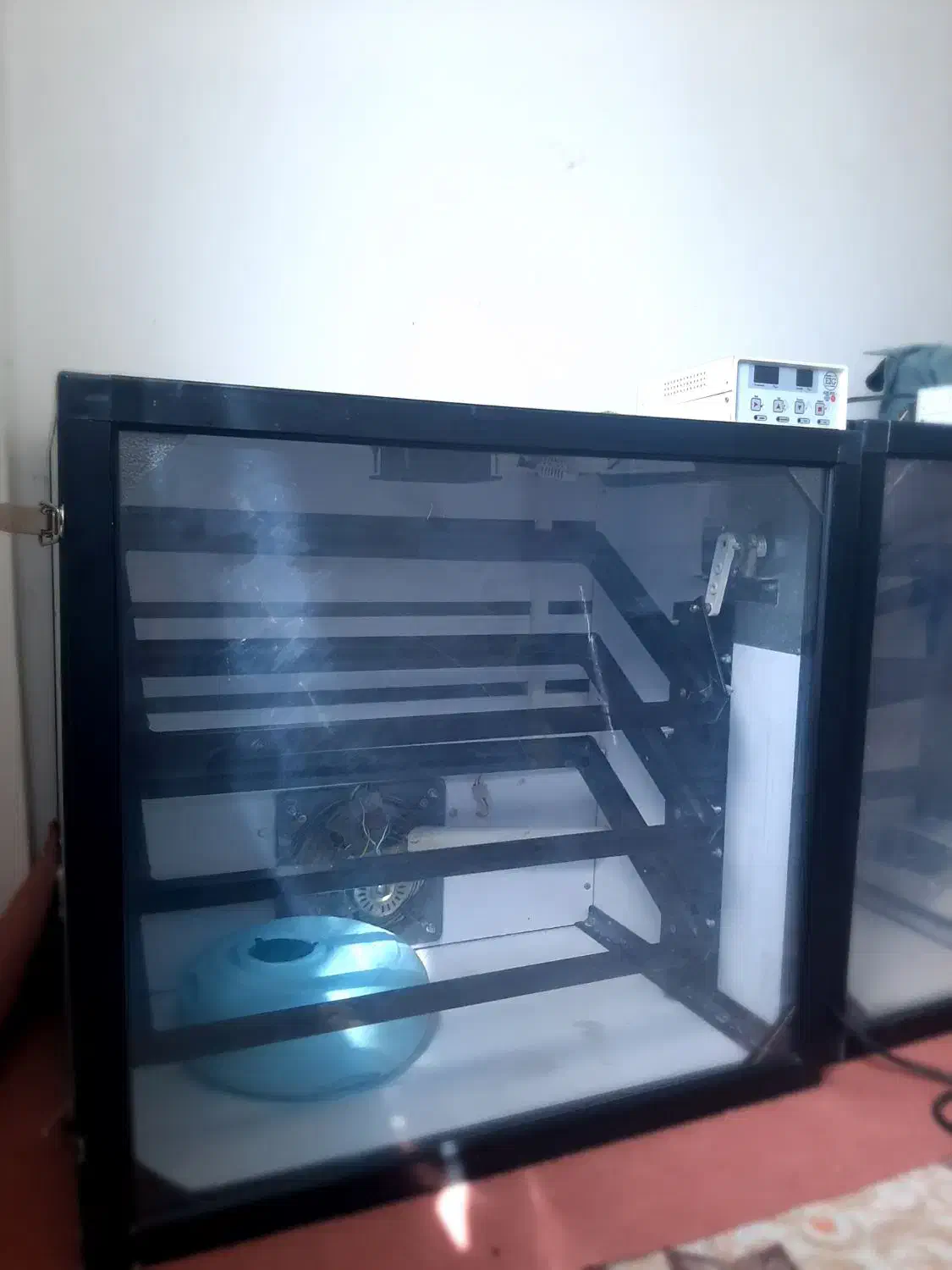 دستگاه جوجه کشی ۳۳۶تایی|حیوانات مزرعه|لاهیجان, بازکیاگوراب|دیوار