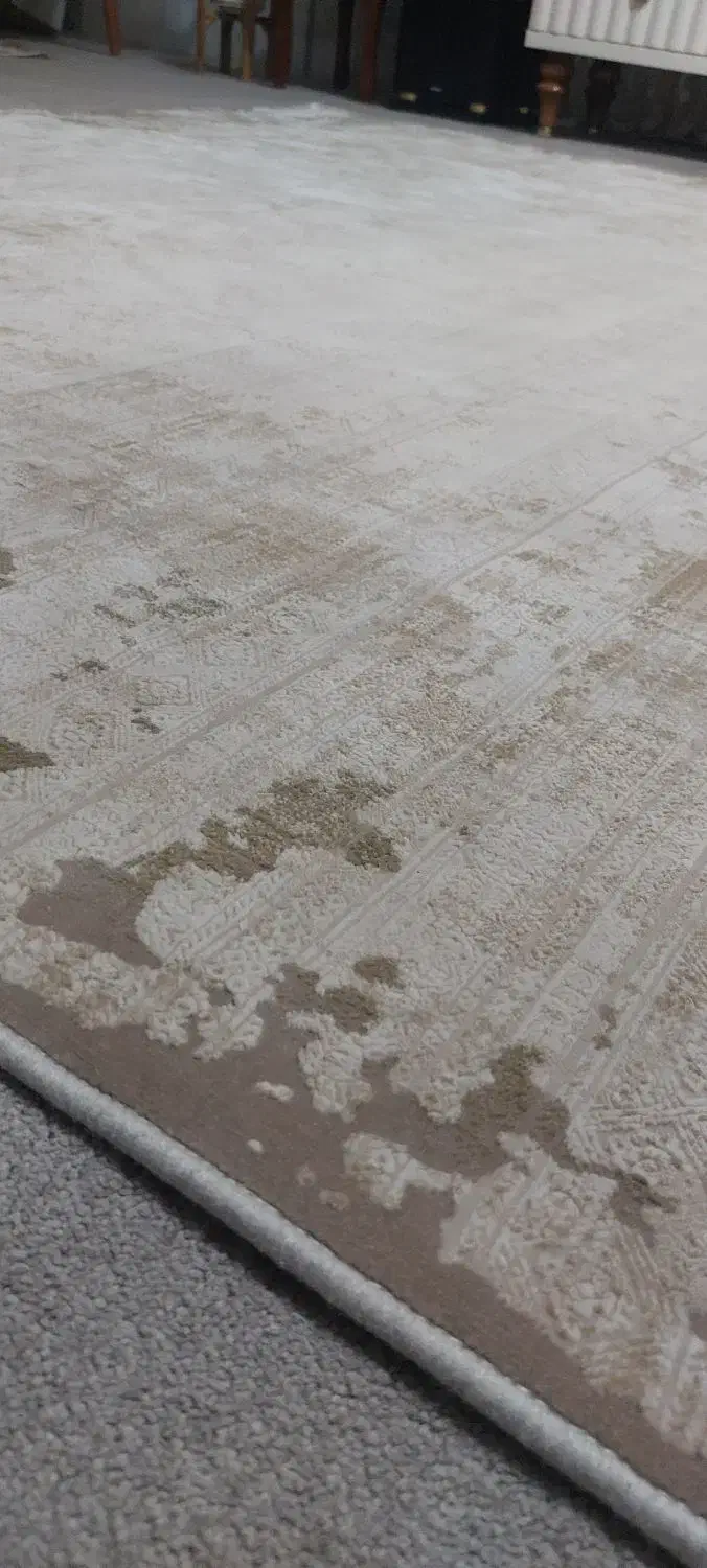 فرش قالی سلیمان|فرش|گنبد کاووس, |دیوار