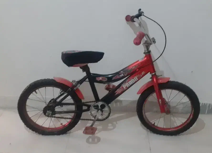 دوچرخه ۱۶فقط پول تنشه|دوچرخه، اسکیت، اسکوتر|قدس, شهرقدس|دیوار