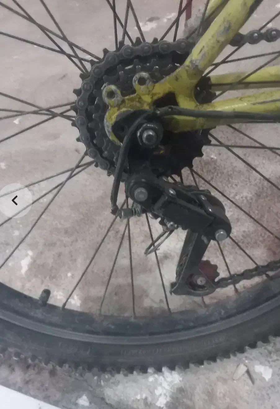 دوچرخه ۲۴|دوچرخه، اسکیت، اسکوتر|پاتاوه, |دیوار