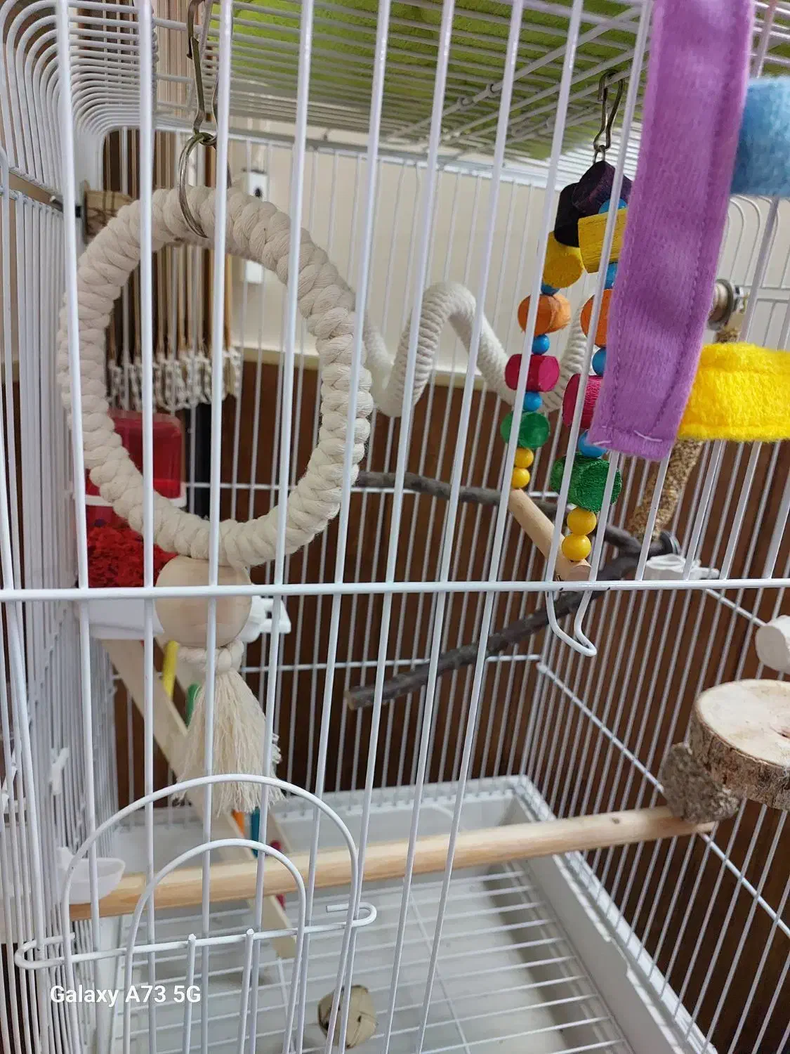 قفس بزرگ طوطی کاسکو با وسایل کامل|لوازم جانبی حیوانات|قم, میرزائیه|دیوار