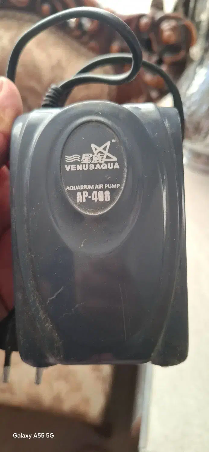 اکسیژن ساز آکواریوم|ماهی|ملایر, |دیوار