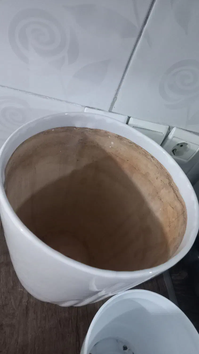 گل دان|گل و گیاه طبیعی|سمنان, |دیوار