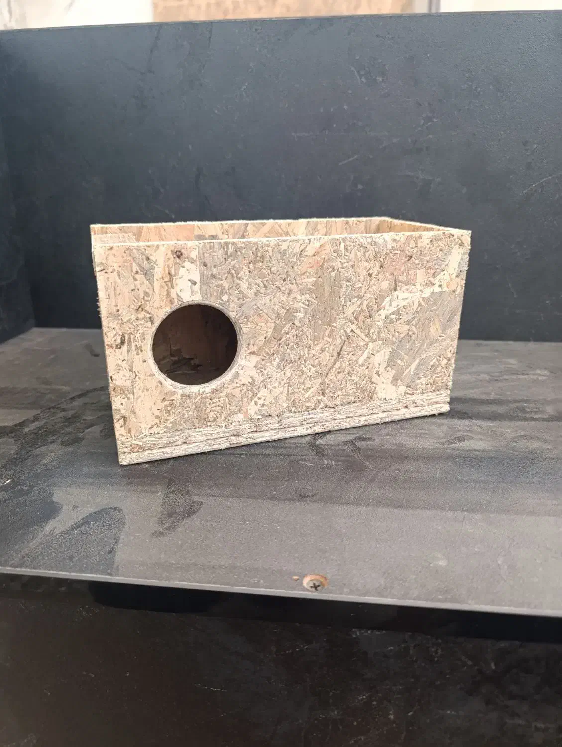 لانه پرنده|لوازم جانبی حیوانات|اندیمشک, |دیوار