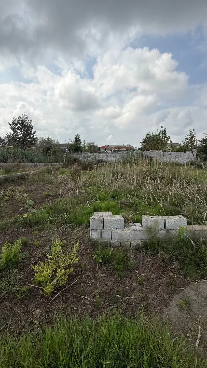 فروش زمین ۲۶۸ متری با کاربری در شهر ساحلی|فروش زمین و ملک کلنگی|چاف و چمخاله, |دیوار