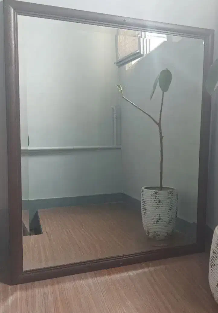 آینه قدی|آینه|لنجان, |دیوار