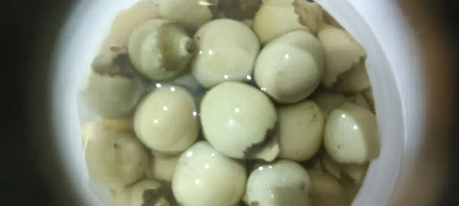 ترشی سپستان.بندری.کلم قرمز.|خوردنی و آشامیدنی|ایرانشهر, |دیوار