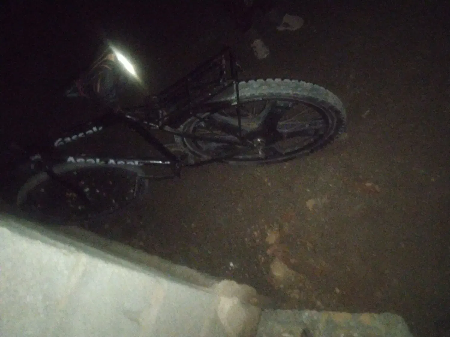 دوچرخه|دوچرخه، اسکیت، اسکوتر|شاندیز, |دیوار