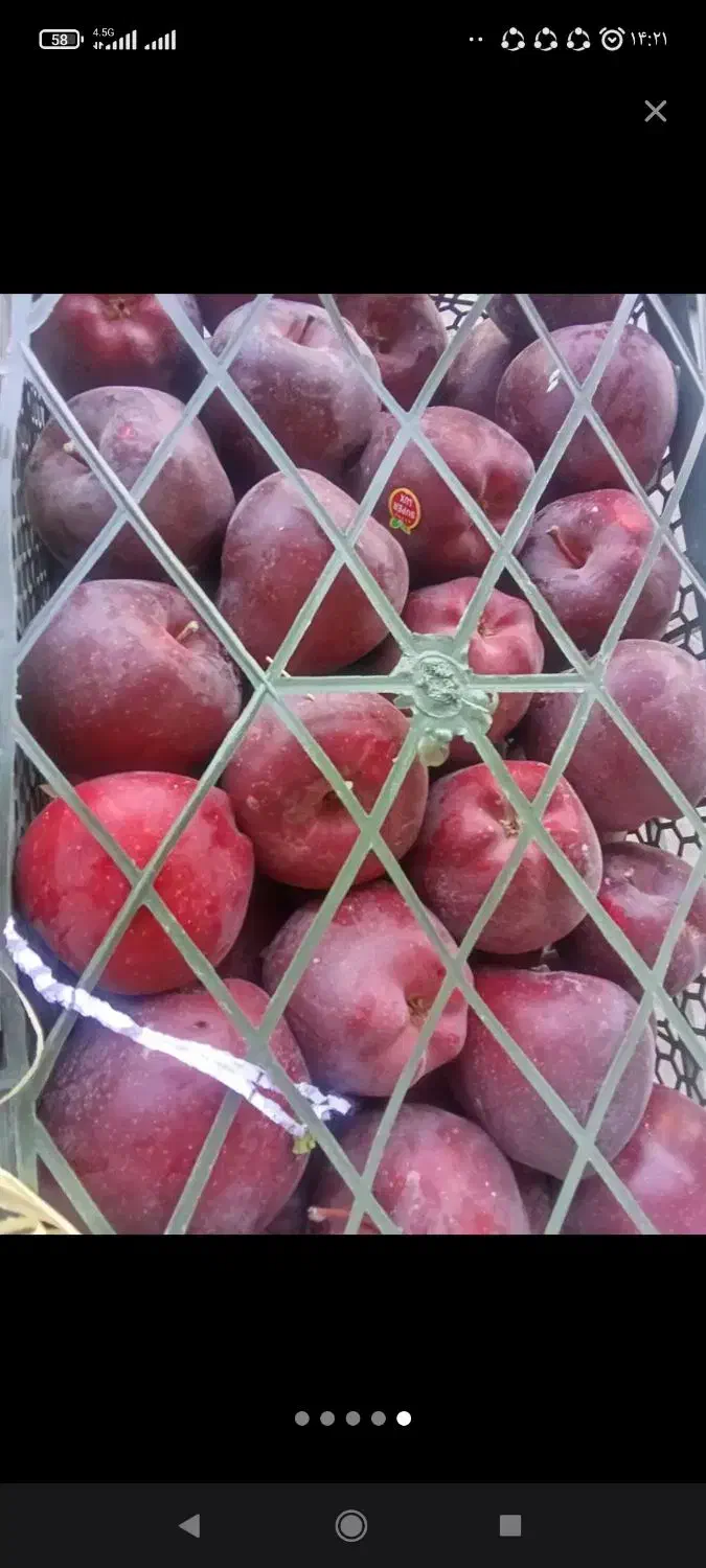 سیب درجه 2 و درجه 1|عمدهفروشی|ری, علایین|دیوار