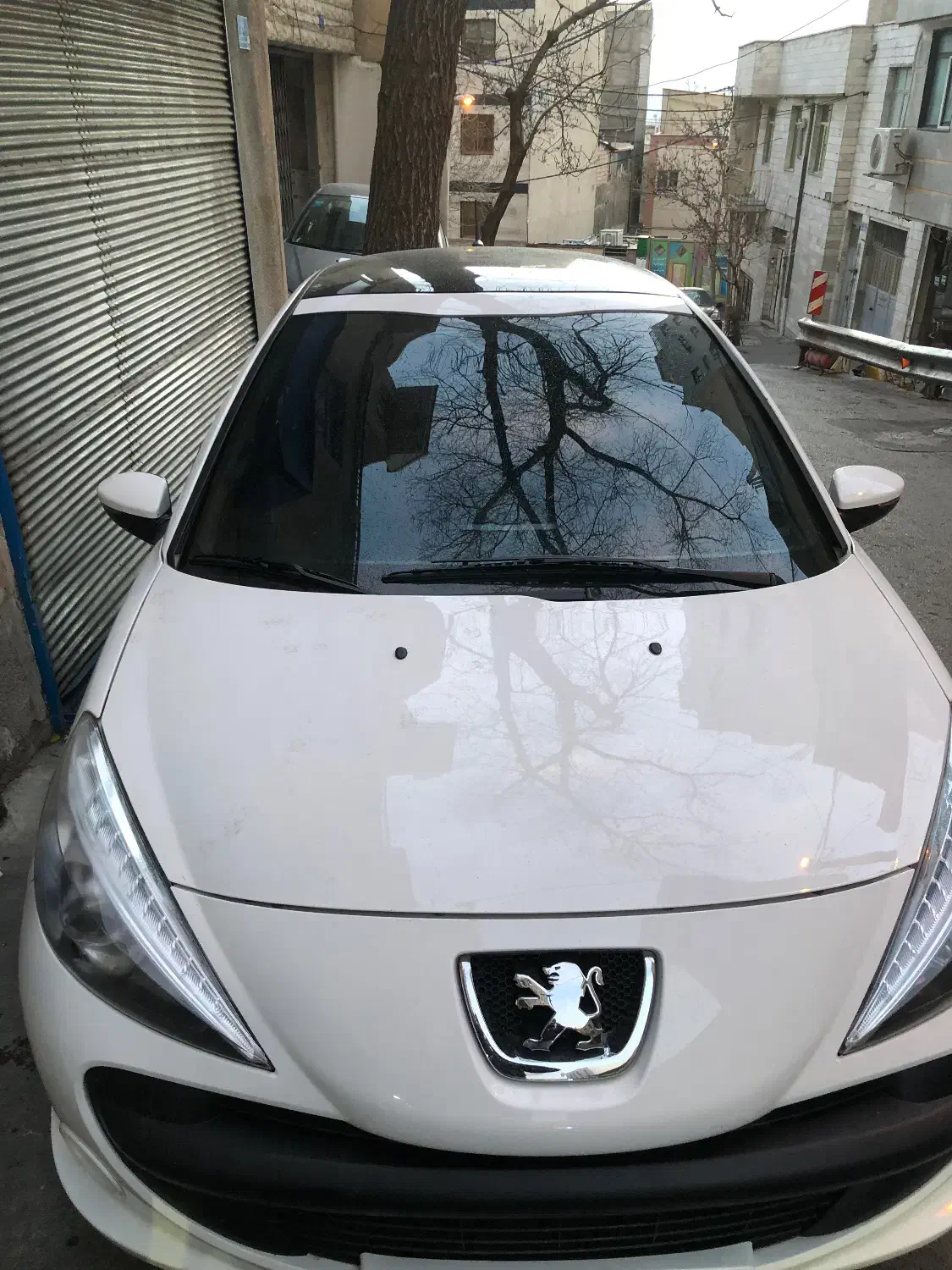 207 پانا|خودرو سواری و وانت|تهران, گلاب دره|دیوار