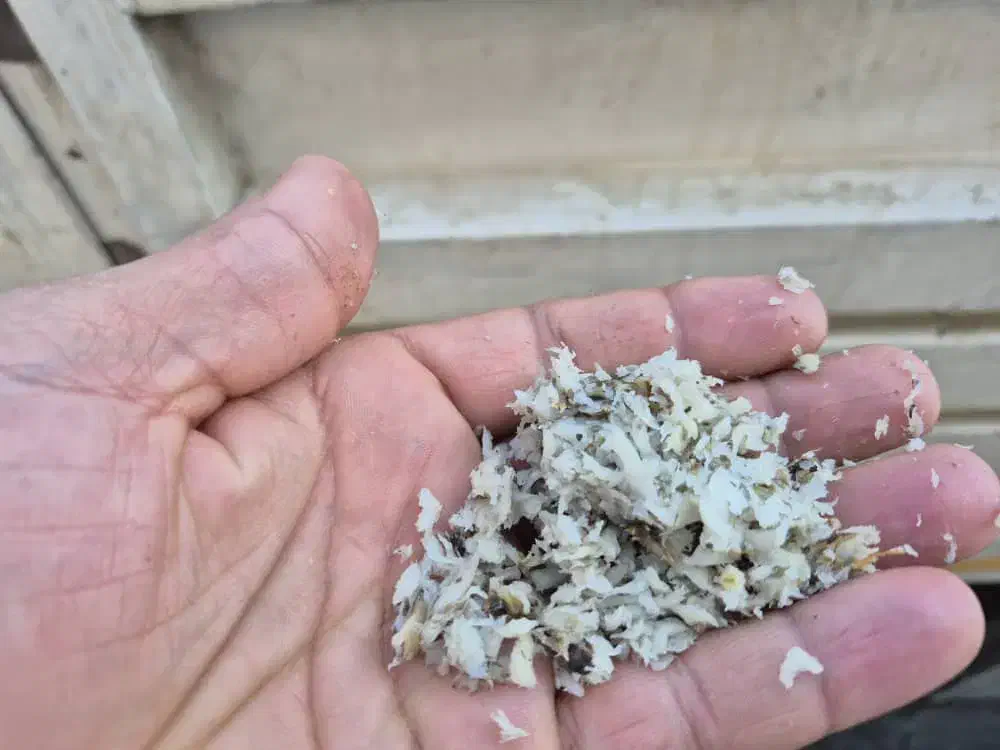 تفاله چغندر|لوازم جانبی حیوانات|اصفهان, سرشبادران|دیوار