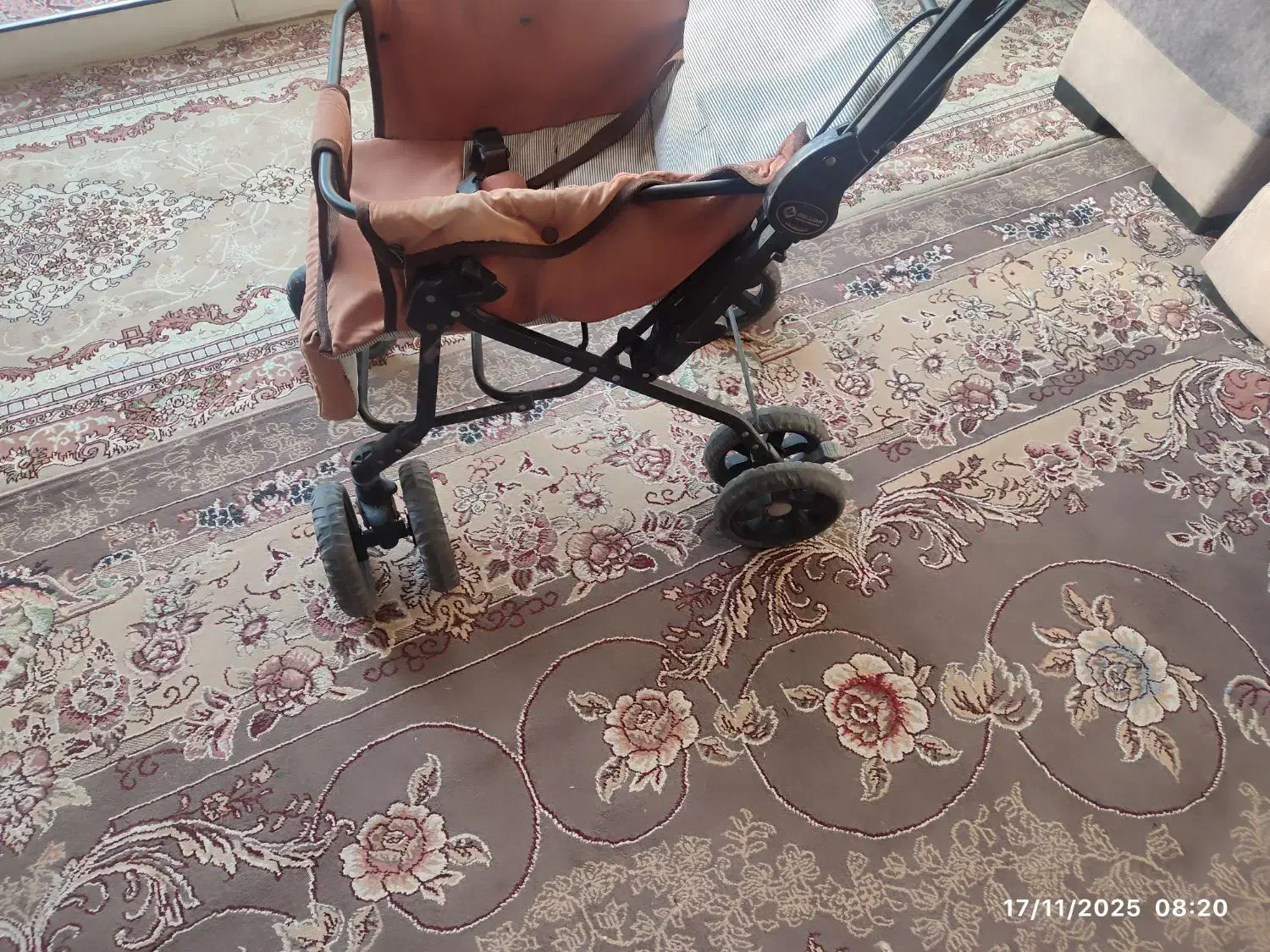 کالسکه دلیجان|کالسکه و لوازم جانبی|اصفهان, جنیران (لادان)|دیوار