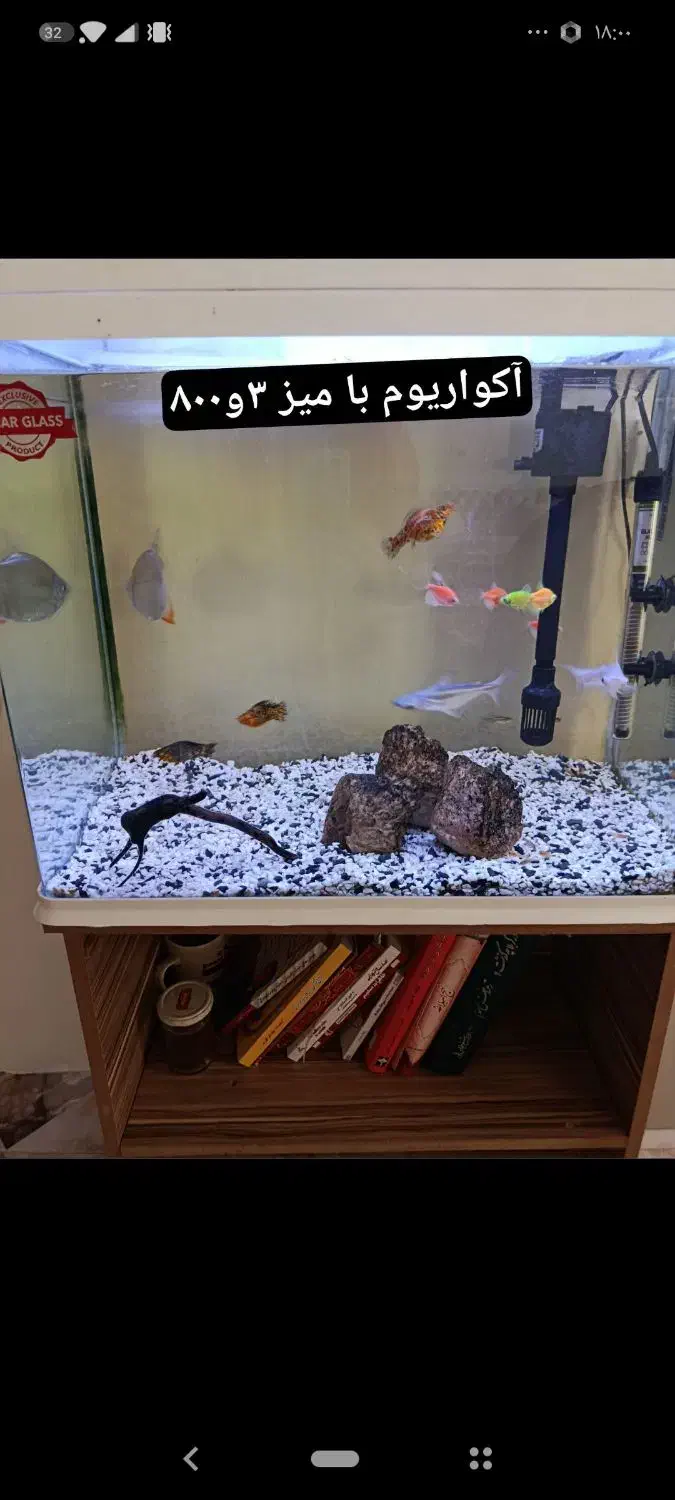 آکواریوم همراه میز|ماهی|بوئین زهرا, |دیوار