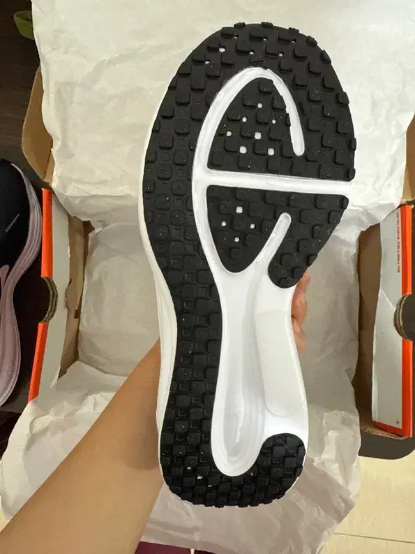 کتونی اوریجینال|کیف، کفش، کمربند|قائمشهر, |دیوار