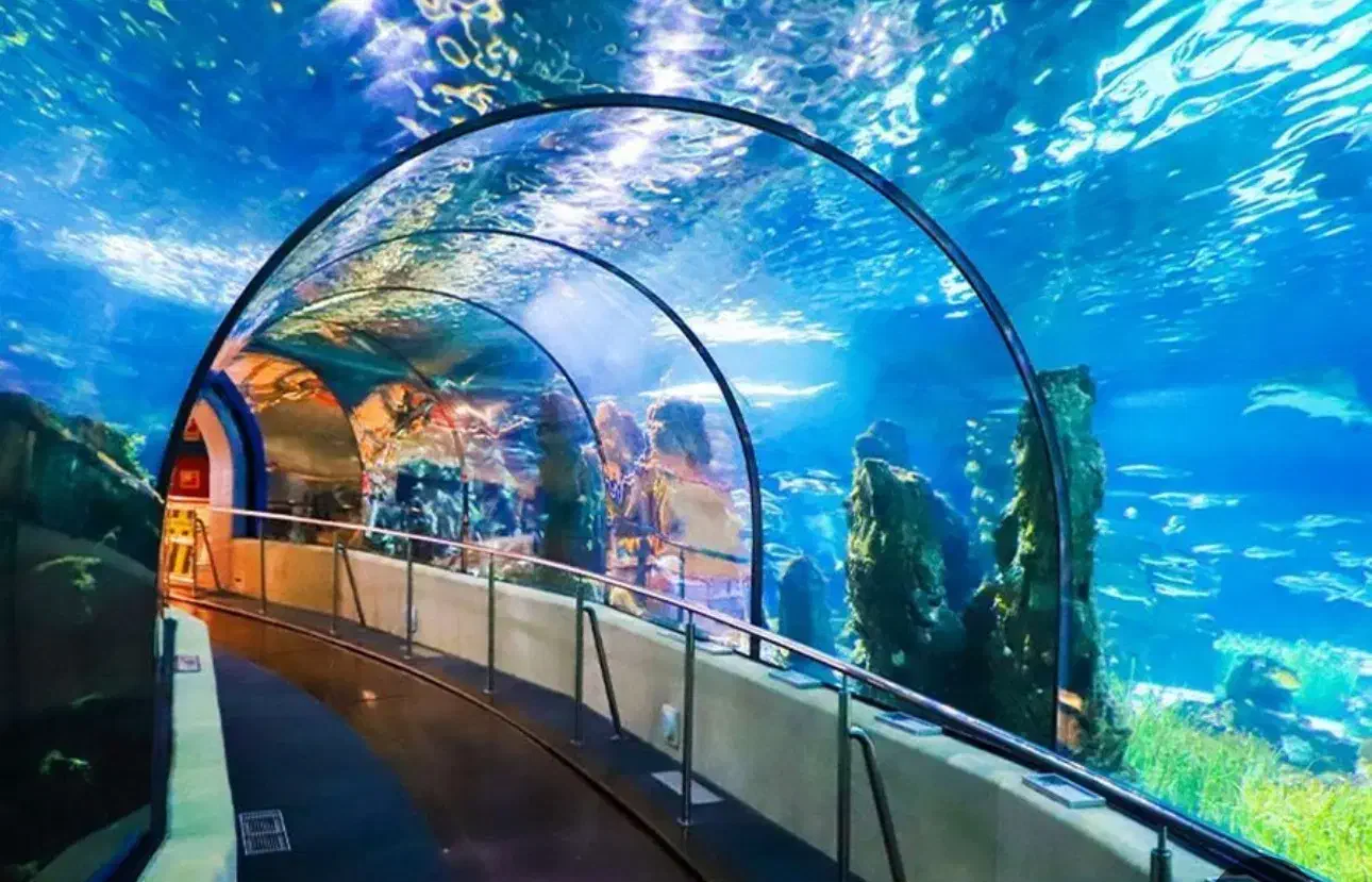 تفریحات در جزیره کیش|تور و چارتر|کیش, |دیوار