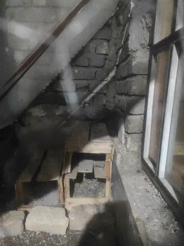 گمشده|حیوانات|شیراز, پودنک|دیوار