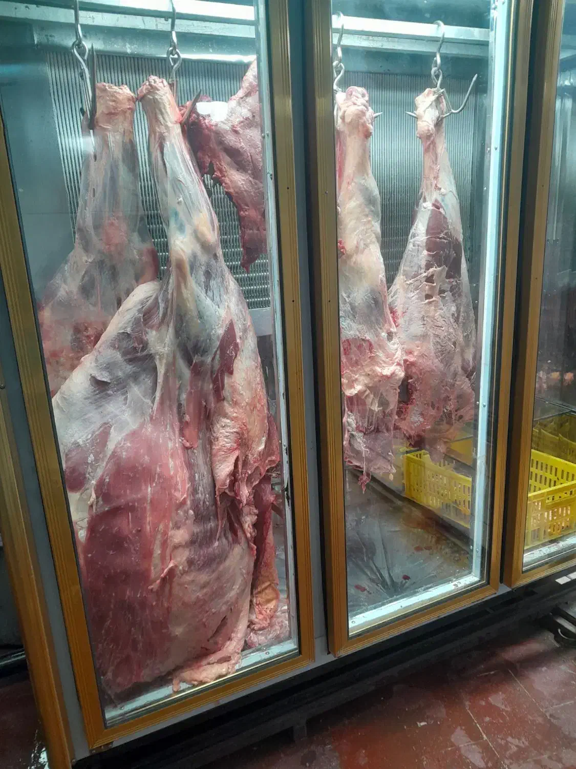 یخچال قصابی پشت تمام رادیات موتور دانفوس سفارشی|کافی‌شاپ و رستوران|سراب, |دیوار