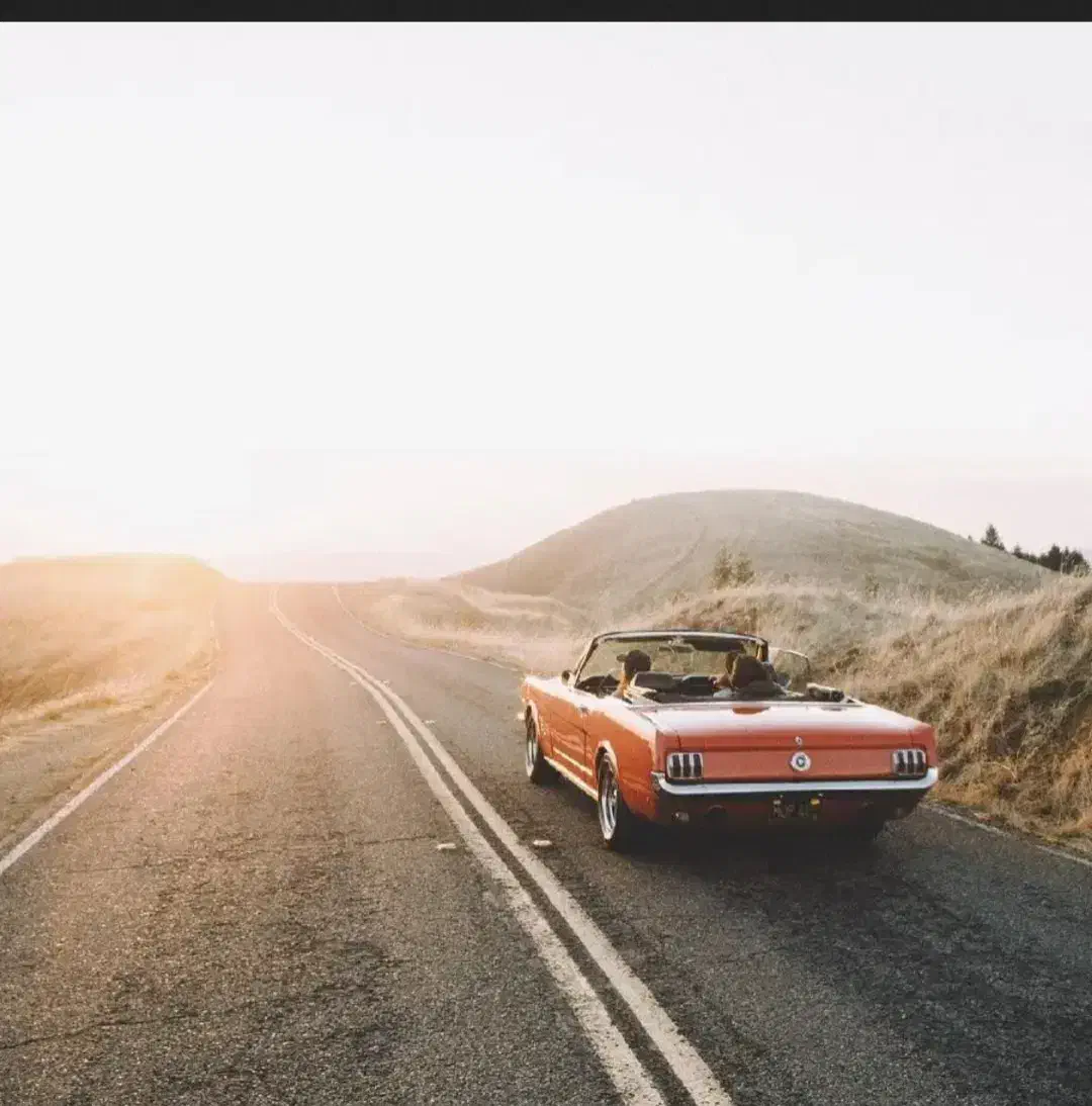 همسفر|خدمات حمل و نقل|مشگین شهر, |دیوار