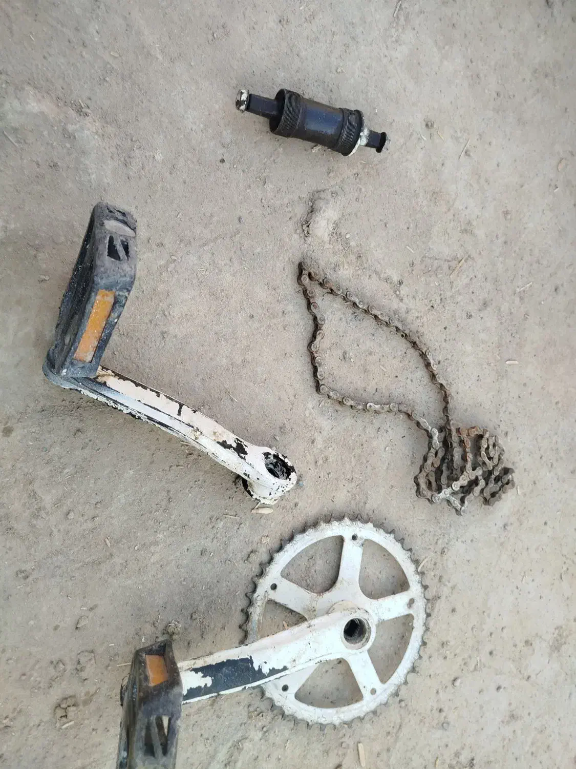 چرخ|دوچرخه، اسکیت، اسکوتر|کرباسک, |دیوار