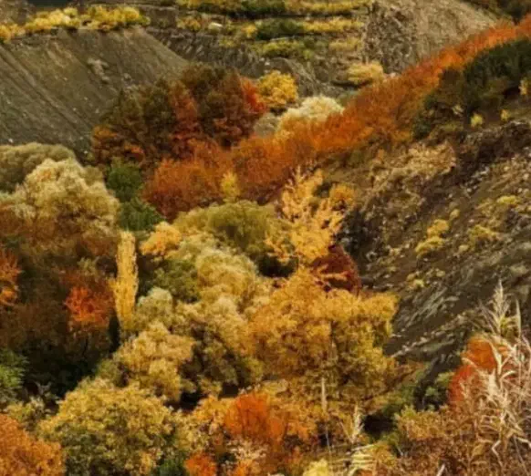 باغچه وردیج ازگیلک ۴۵۰ متر|فروش زمین و ملک کلنگی|کن, |دیوار