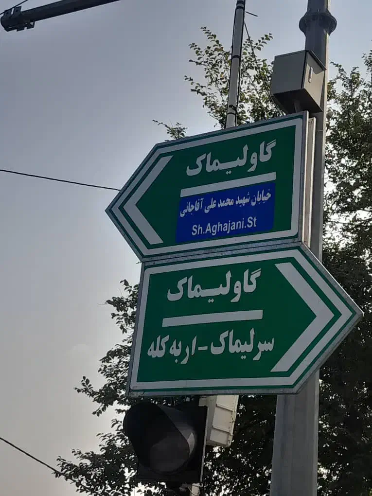 فروش زمین ۲۴۸ متری دوکله در اربه‌کله، گاولیماک|فروش زمین و ملک کلنگی|دالخانی, |دیوار