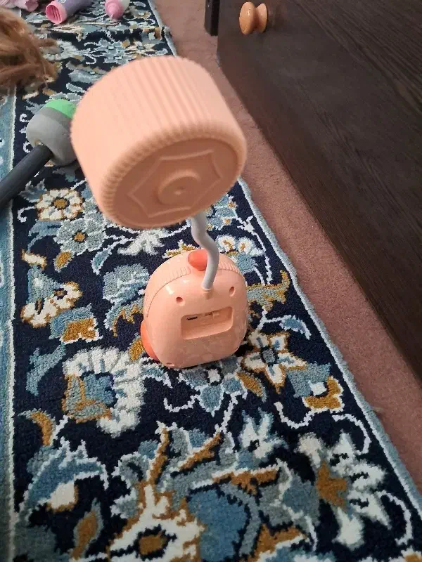 دوعدد شب خواب|چراغ خواب و آباژور|اندیشه, اندیشه فاز ۱|دیوار