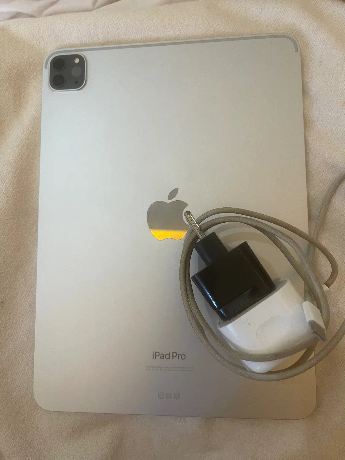 Ipad Pro11- 2022 wifi 128 Silver M2|تبلت|تهران, محمودیه|دیوار