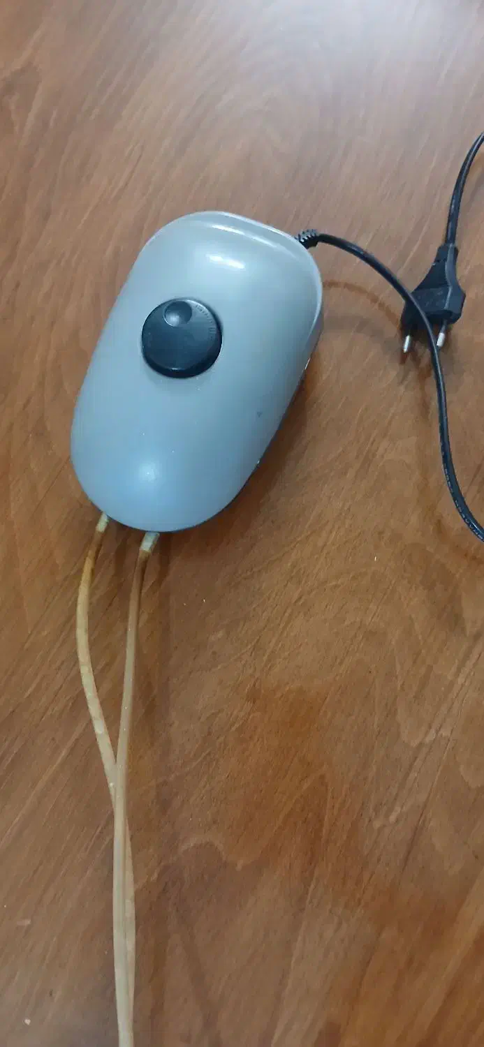 پمپ اکواریوم|ماهی|رباط‌کریم, رباط‌کریم|دیوار