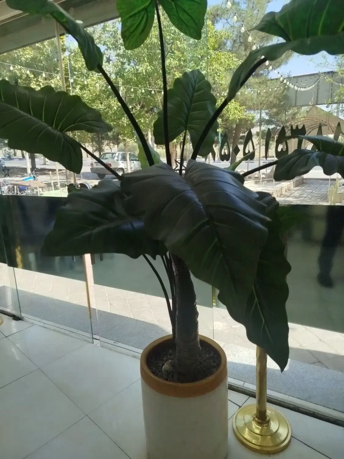 منشی خانم جهت کار در رستوران شقایق|استخدام خدمات فروشگاه و رستوران|ملایر, |دیوار