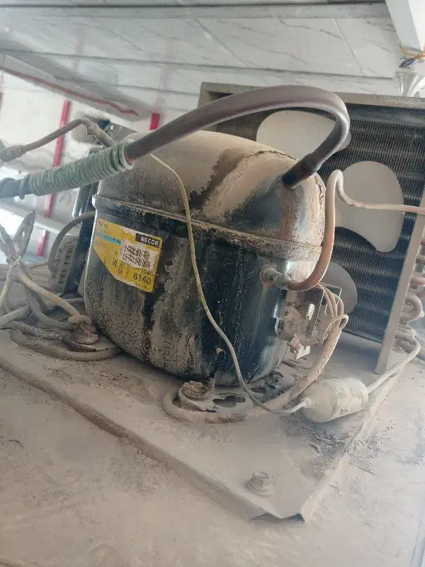 یخچال و تعدادی قفسه به فروش میرسد|فروشگاه و مغازه|سیرجان, |دیوار