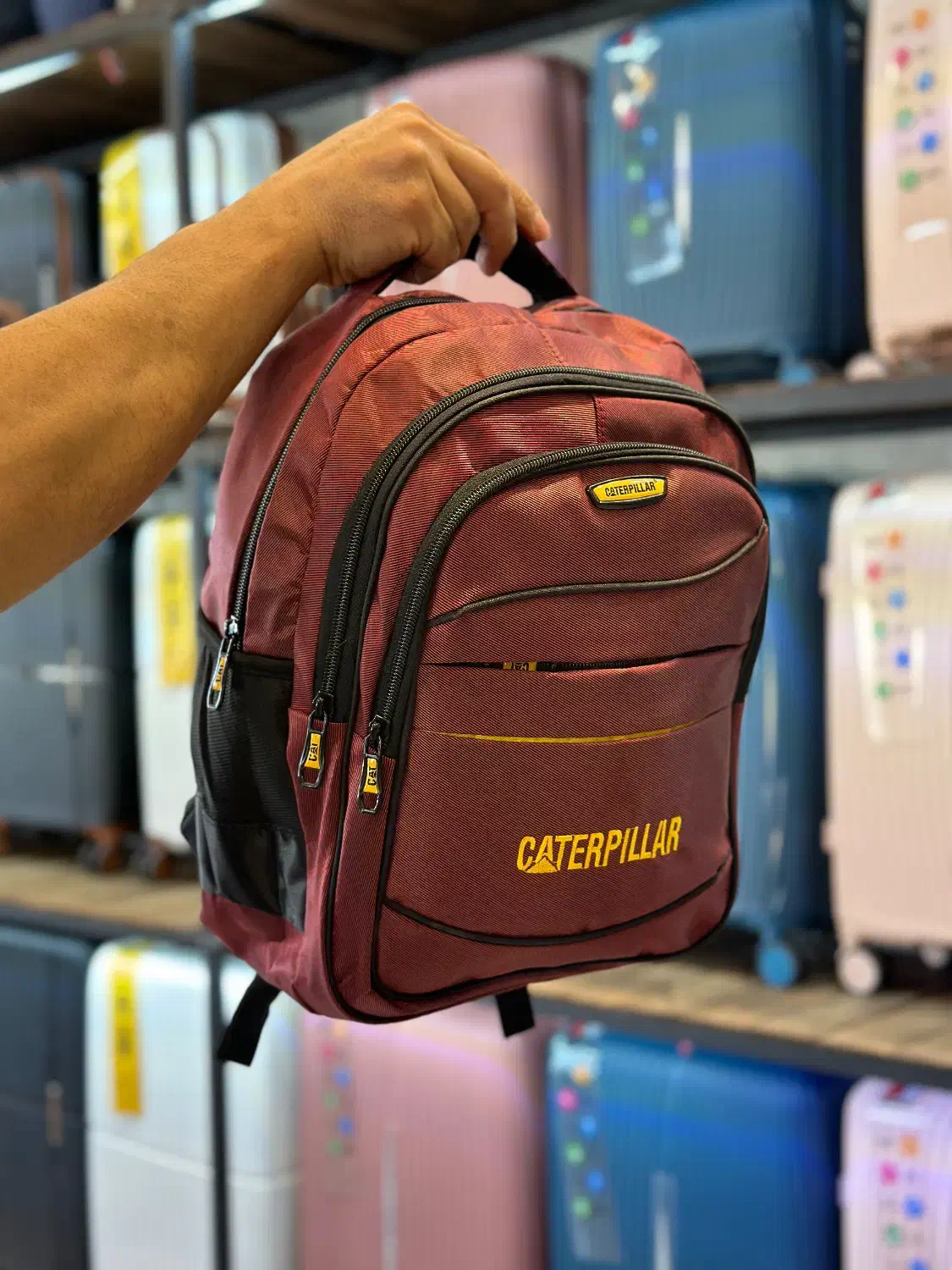 کوله|کیف، کفش، کمربند|کرج, دولتآباد|دیوار