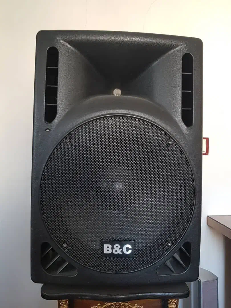 باند ۱۵ اینچ|سیستم صوتی خانگی|کنگاور, |دیوار