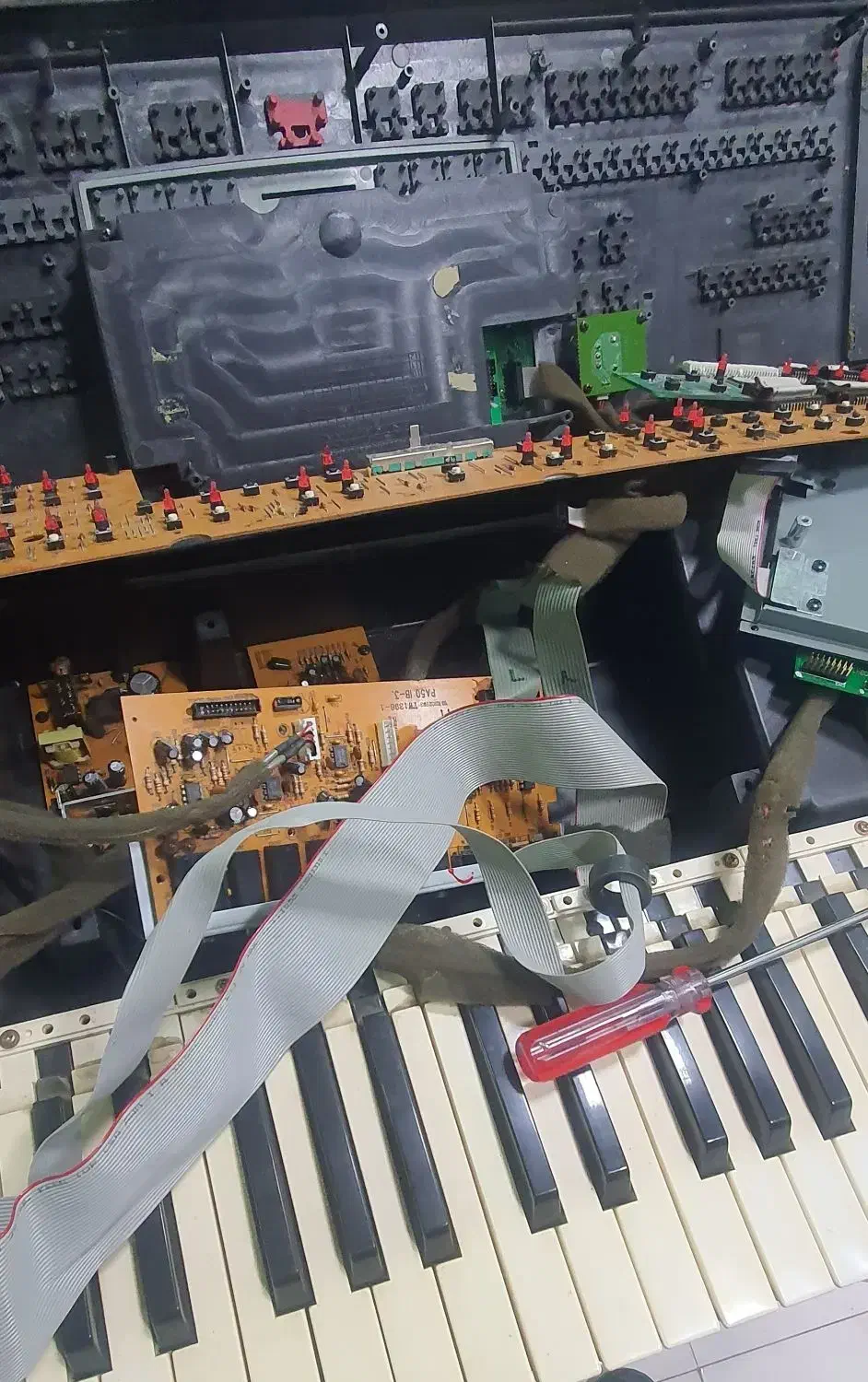 فروش و تعمیر کیبورد و پیانو|پیانو، کیبورد، آکاردئون|مبارکه, |دیوار