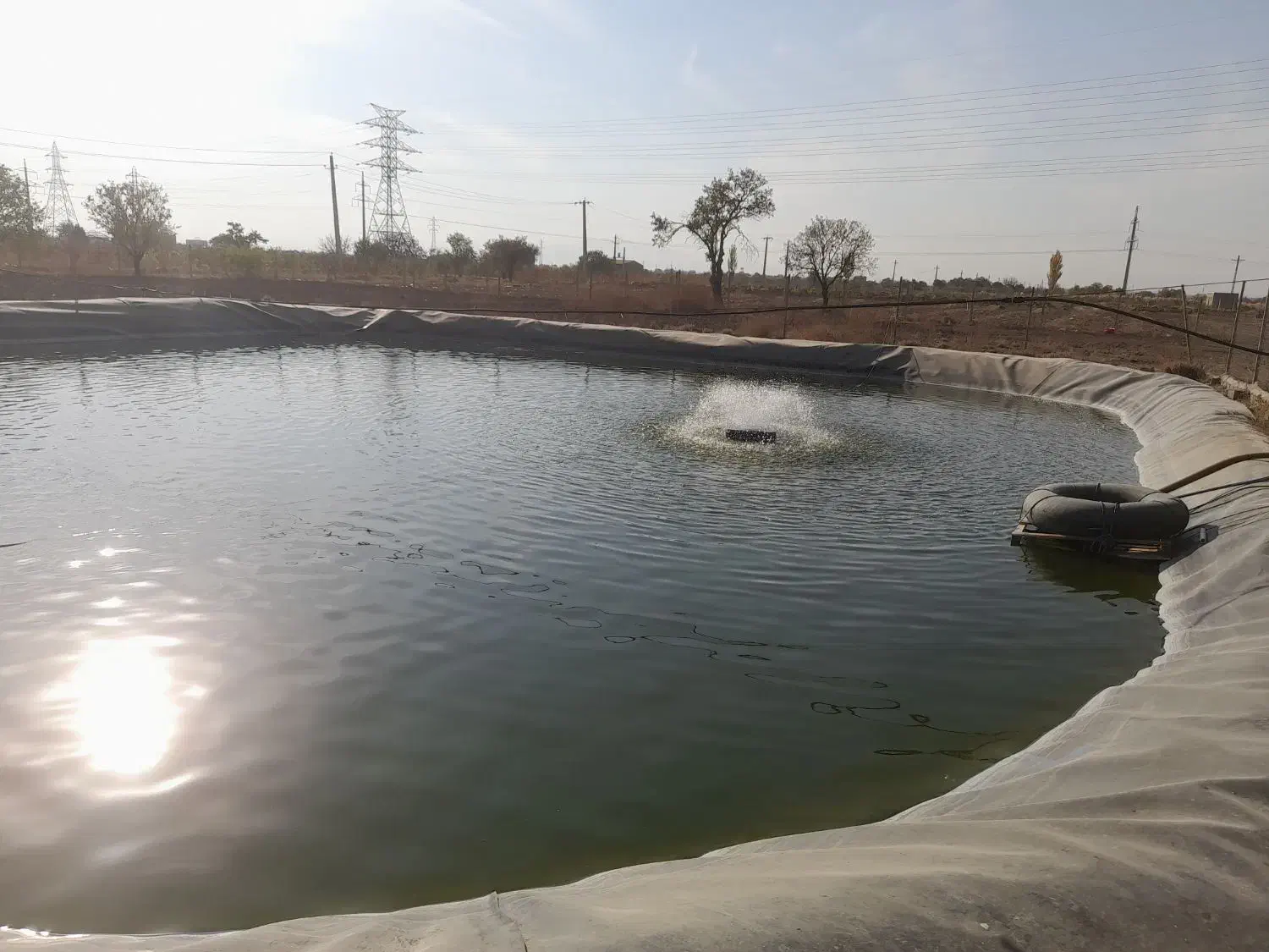 گلخانه نت هاوس|فروش دفتر صنعتی، کشاورزی، تجاری|قزوین, |دیوار