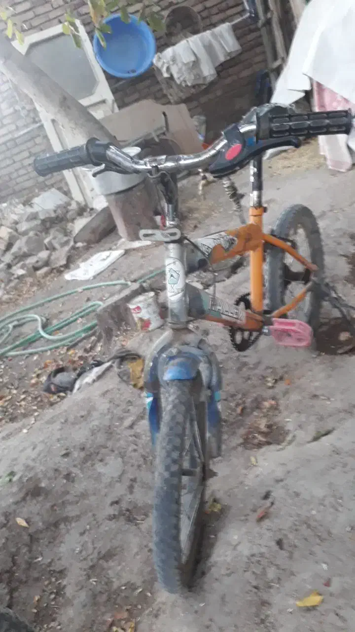 دوچرخه|دوچرخه، اسکیت، اسکوتر|سراب, |دیوار